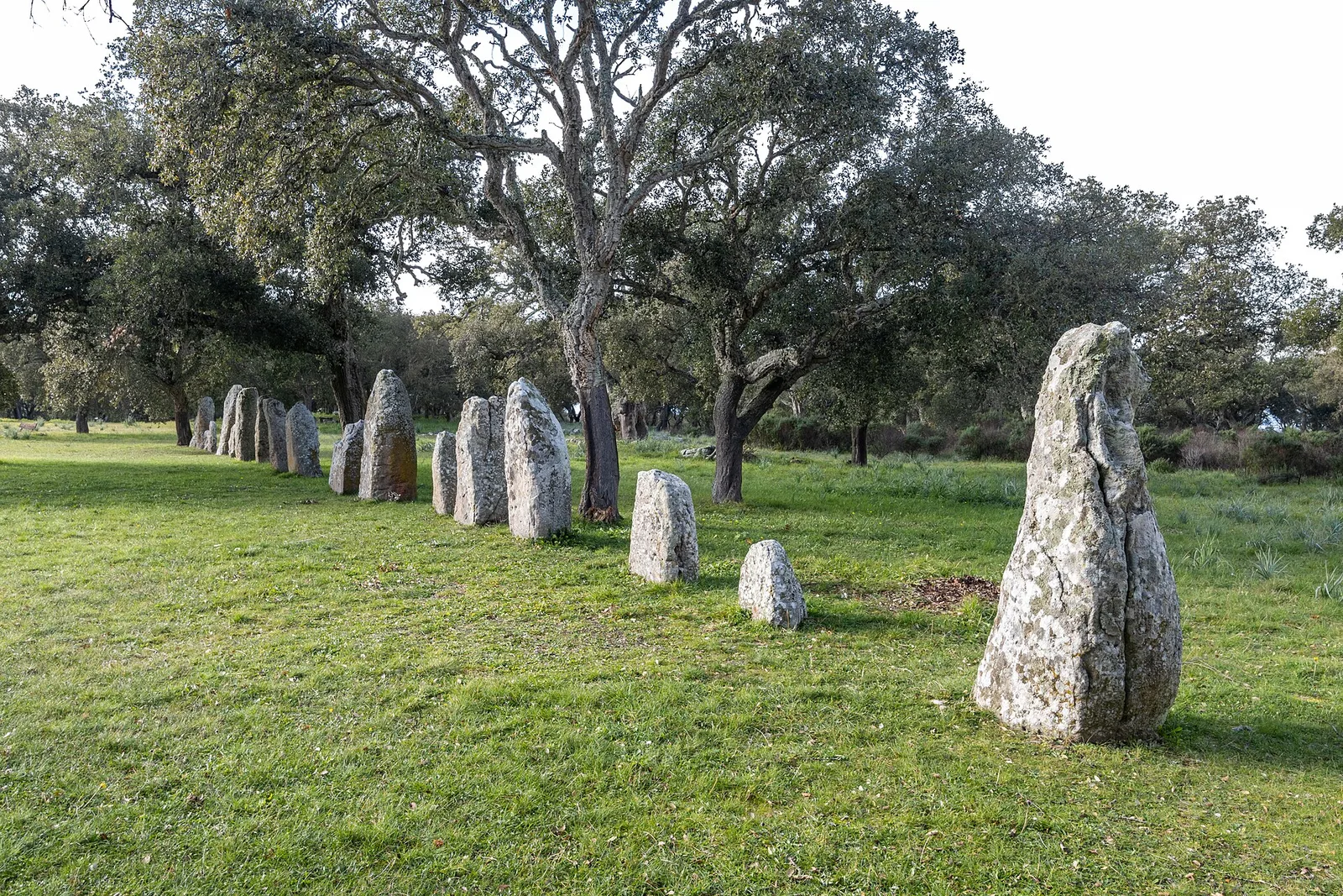Menhirs of Sardinia